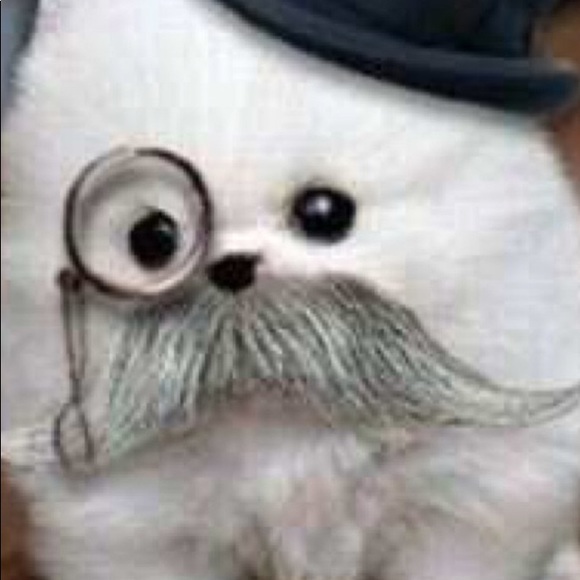 Meet your Posher, Marcy - Picture 1 of 1